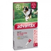 Picture of ADVANTIX